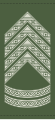 Seniorsergent af 2. grad (Warrant Officer Class 2)