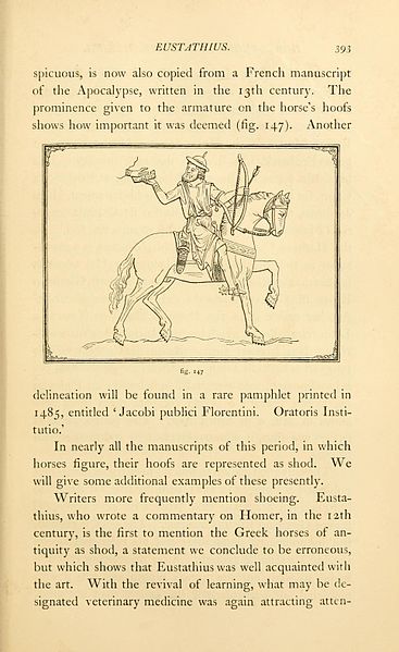 File:Horse-shoes and horse-shoeing (Page 393) BHL22420454.jpg