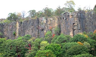 <span class="mw-page-title-main">The Palisades (Hudson River)</span> Steep cliffs along the west side of the lower Hudson River