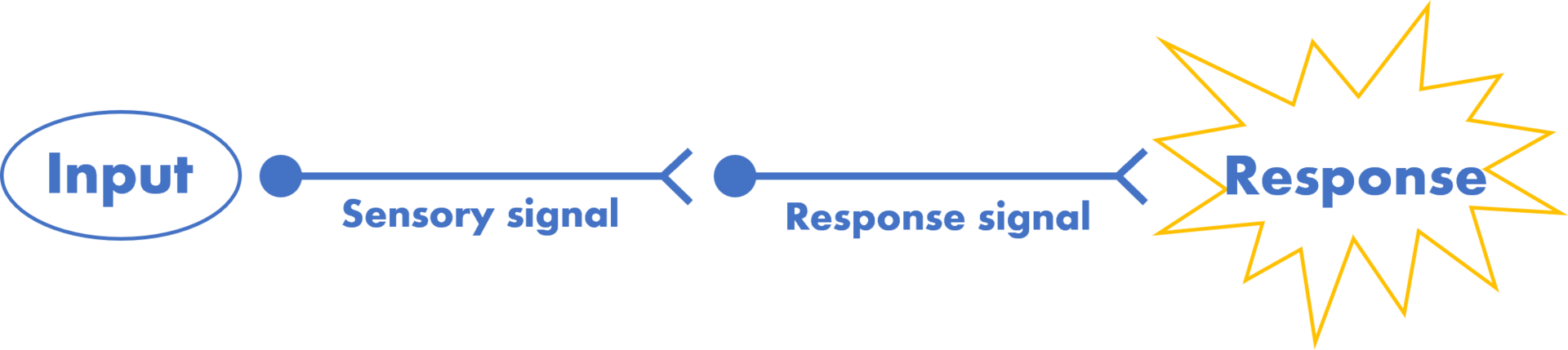 Schematic showing the flow of reflex actions