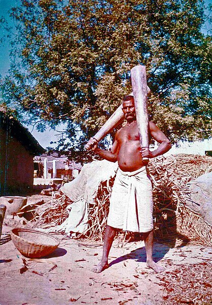 File:Indian wrestler exercising near Varanasi. 1973.JPG