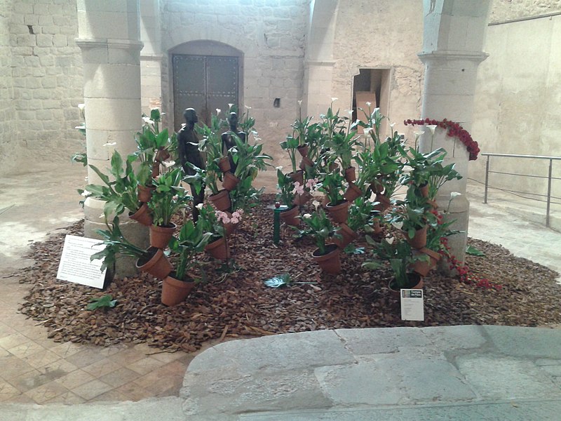 File:Interior Església Santa Llúcia-Exposició Flors 2012-Girona - panoramio.jpg