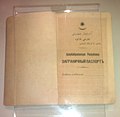 აზერბაიჯანის დემოკრატიული რესპუბლიკის პასპორტი