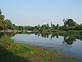 Kaveri di Srirangapatna, Karnataka