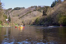 Des kayakeurs sur l'Ourthe après le barrage.