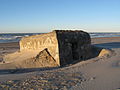 Kjaersgaard Strand - Nordjylland 2010 ubt-8.JPG