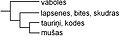 2008. gada 3. aprīlis, plkst. 22.53 versijas sīktēls