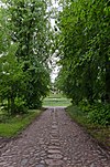 Klein Siemen cobblestone street with Kastanienallee.jpg