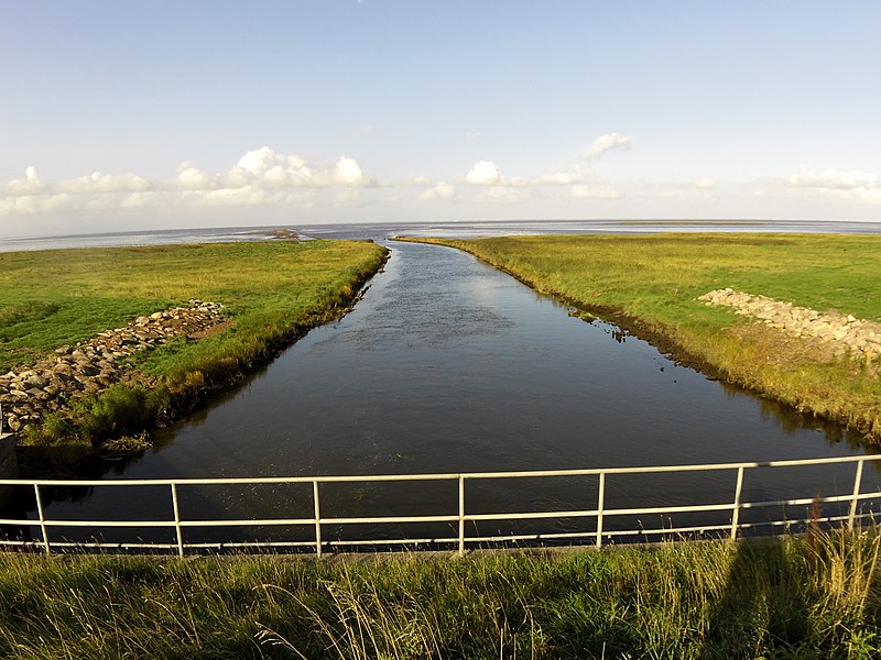 File:Kongeåens udløb i Vadehavet.jpg