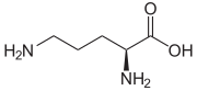 L-Ornitín