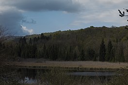 Lac d Onoz, 2016.jpg