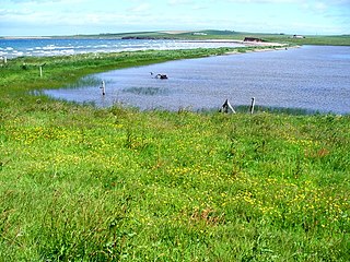 <span class="mw-page-title-main">Lairo Water</span>