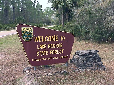 Lake George State Forest, Florida, USA