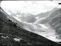 Vue du glacier le 30 juillet 1897.