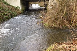 Leppe an der Einmündung der Gelpe (vorn rechts) .jpg