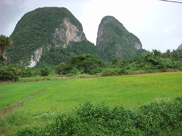 Bukit Chabang, a landmark twin-peaked mogote towering over paddy field squares