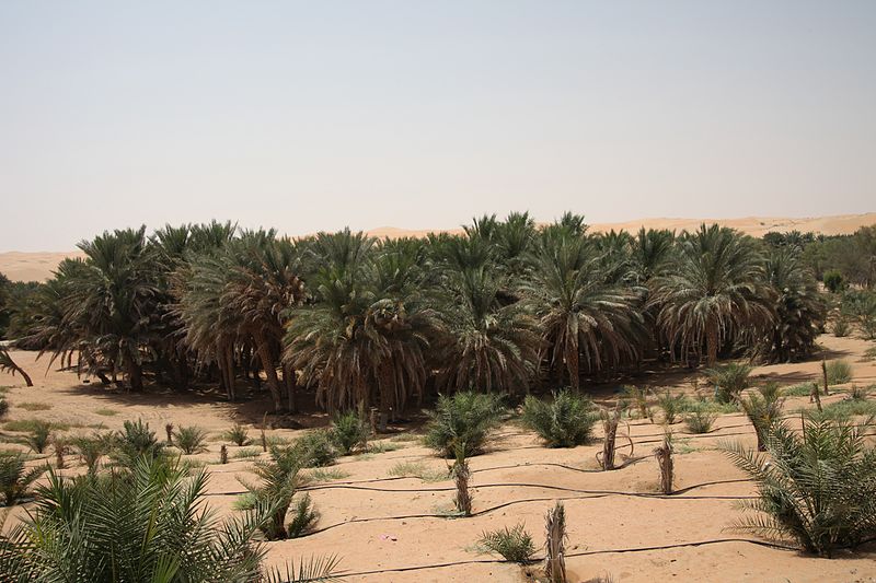 File:Liwa شيا - panoramio.jpg