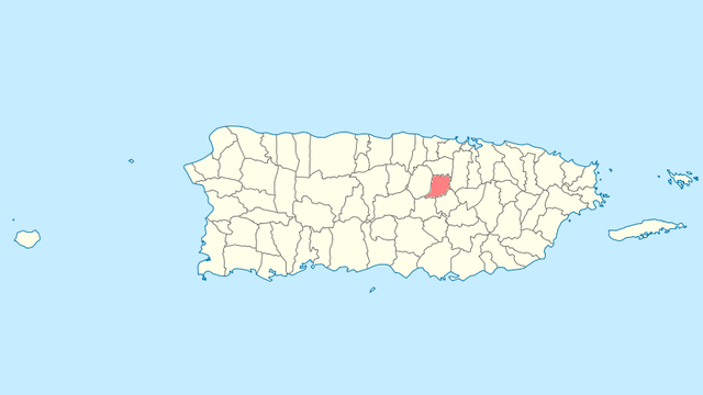 Муніципалітет Наранхіто на карті Пуерто-Рико