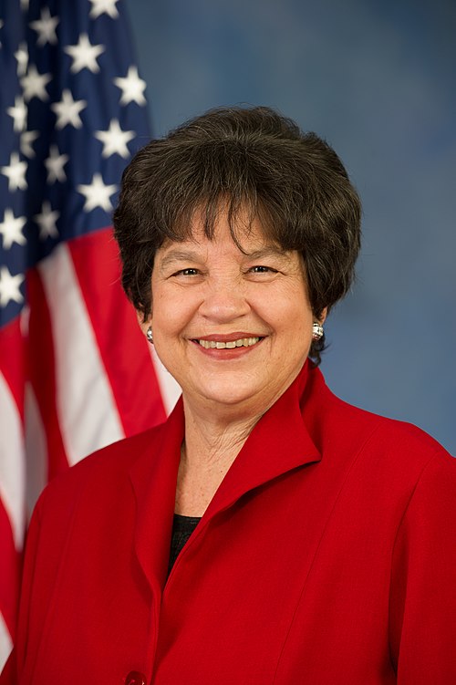 Image: Lois Frankel, Official portrait, 113th Congress