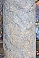 English: Roman milestone from the year 218 A.D. Deutsch: Römischer Meilenstein aus dem Jahre 218 nach Christi Geburt