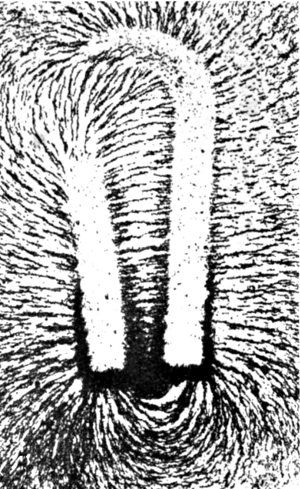 Magnetic field of horseshoe magnet.png