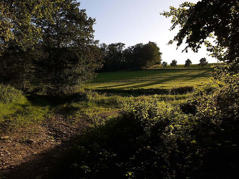 File:Malbach valley, Ehrebach.jpg