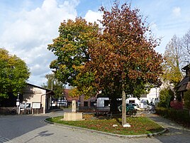 The center of Malmsbach