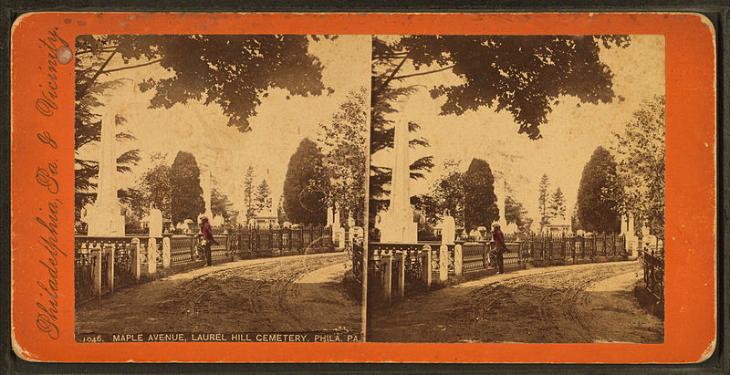 File:Maple Avenue, Laurel Hill cemetery, Philadelphia, Pa, from Robert N. Dennis collection of stereoscopic views.jpg