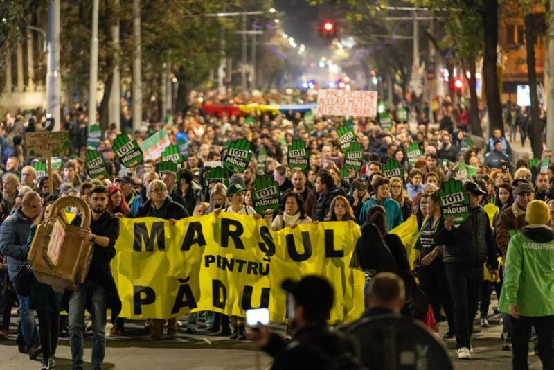 File:Marșul pentru Păduri.jpg