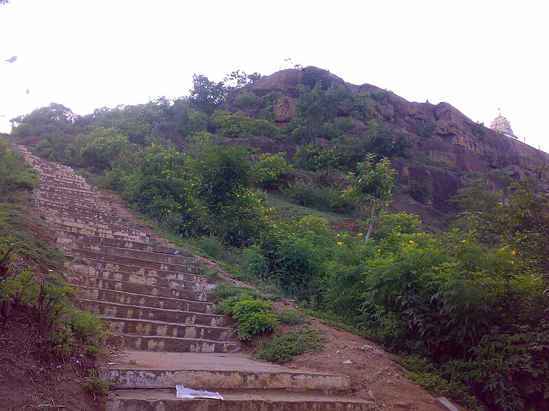 File:Maradigudda at the heart of Kollegal City.jpg