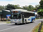 Martyrs Bus in Yarra Junction.jpg