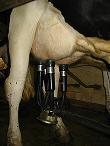 Skimmed milk - Wikipedia