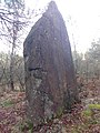 Le « Menhir de Ranion ».