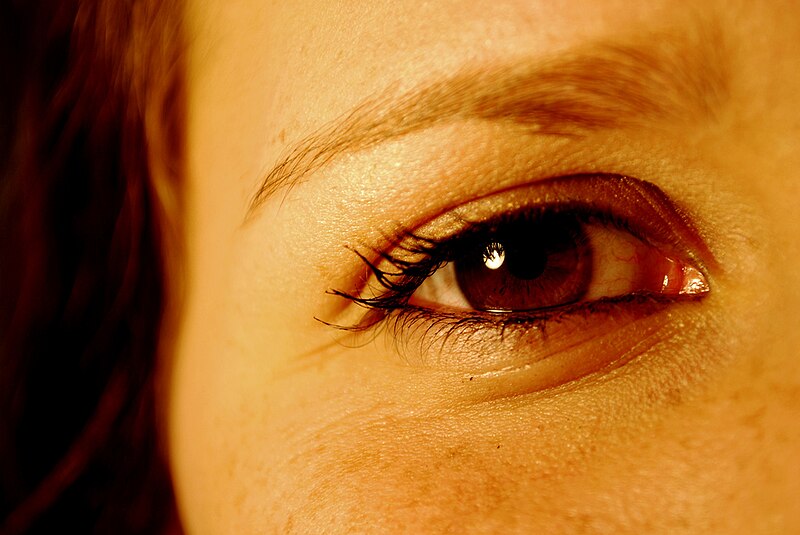 File:Meredith's eye.jpg