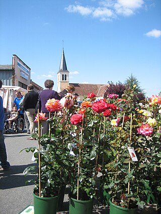 <span class="mw-page-title-main">Mers-sur-Indre</span> Commune in Centre-Val de Loire, France