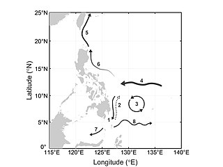 <span class="mw-page-title-main">Mindanao Current</span> Narrow, southward-flowing ocean current along the southeastern coast of the Philippines