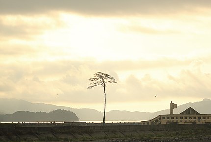 陸前高田市の有名地