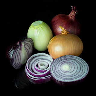 <span class="mw-page-title-main">Onion</span> Bulbous vegetable, grown for food