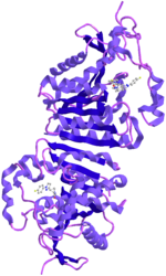 Vignette pour Monoacylglycérol lipase