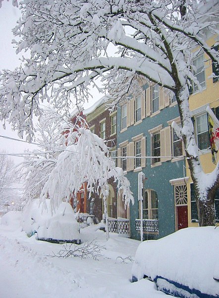 File:More Snow - Feb 6, 2010 - panoramio - Art Anderson.jpg