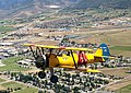 CAF UTAH WING N2S