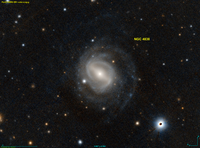 NGC 4838 PanS.png