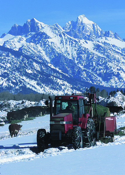 File:NRCSWY02022 - Wyoming (6909)(NRCS Photo Gallery).jpg