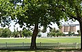 English: A cricket ground in Narromine, New South Wales