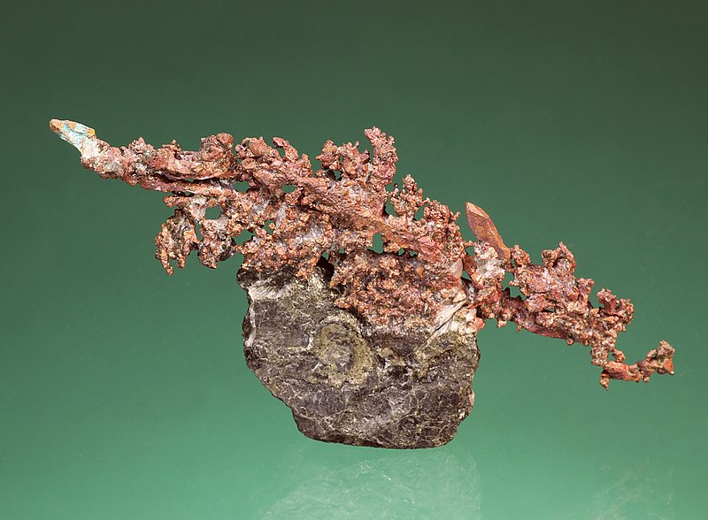 File:Native Copper from Cape D'Or.jpg