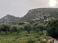 Necropolis of Cassibile 02.jpg