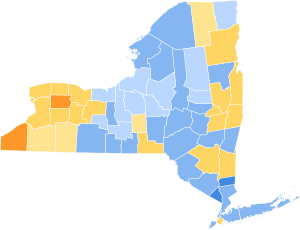 New York Presidential Election Results 1844.svg