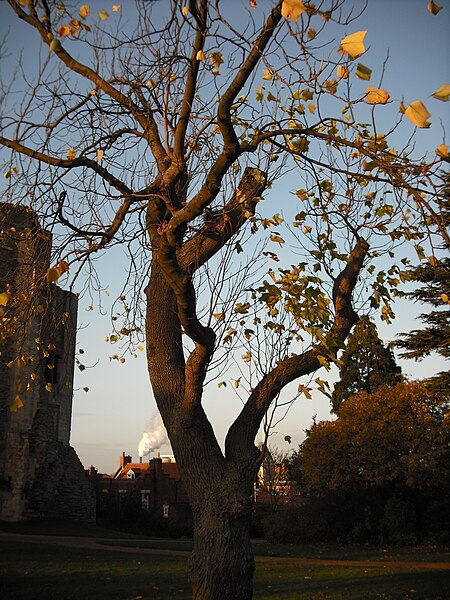 File:Newark Castle, Nottinghamshire 007.JPG