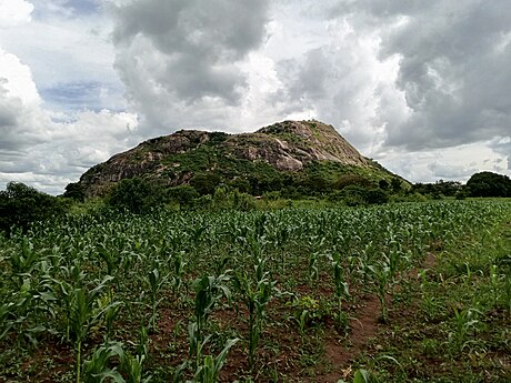 Ngetta Hill in Northern Uganda Photographer: Alobo shalom