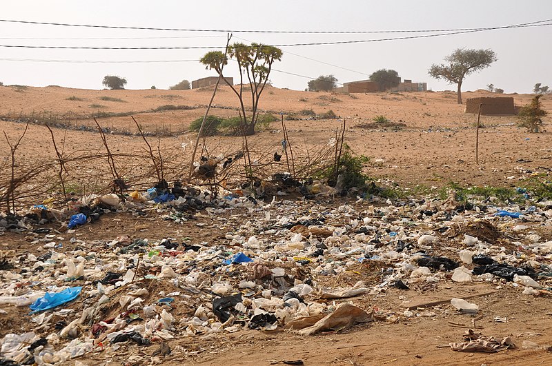 File:Niger, Karey Gorou, (7) waste disposal.jpg